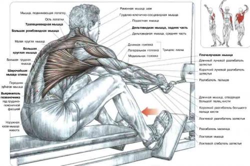 Упражнения для спины и позвоночника картинки thumbnail